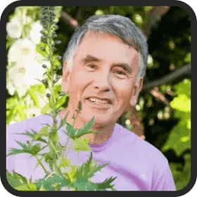 Sansuu Royalty-customer review 2